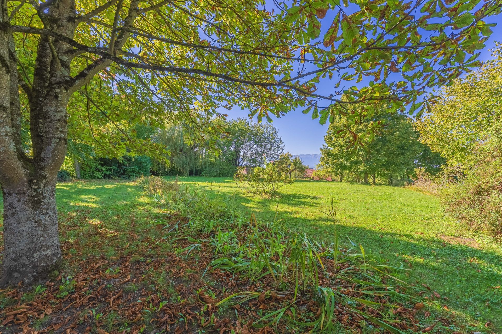 house 6 Rooms for sale on ARCHAMPS (74160)