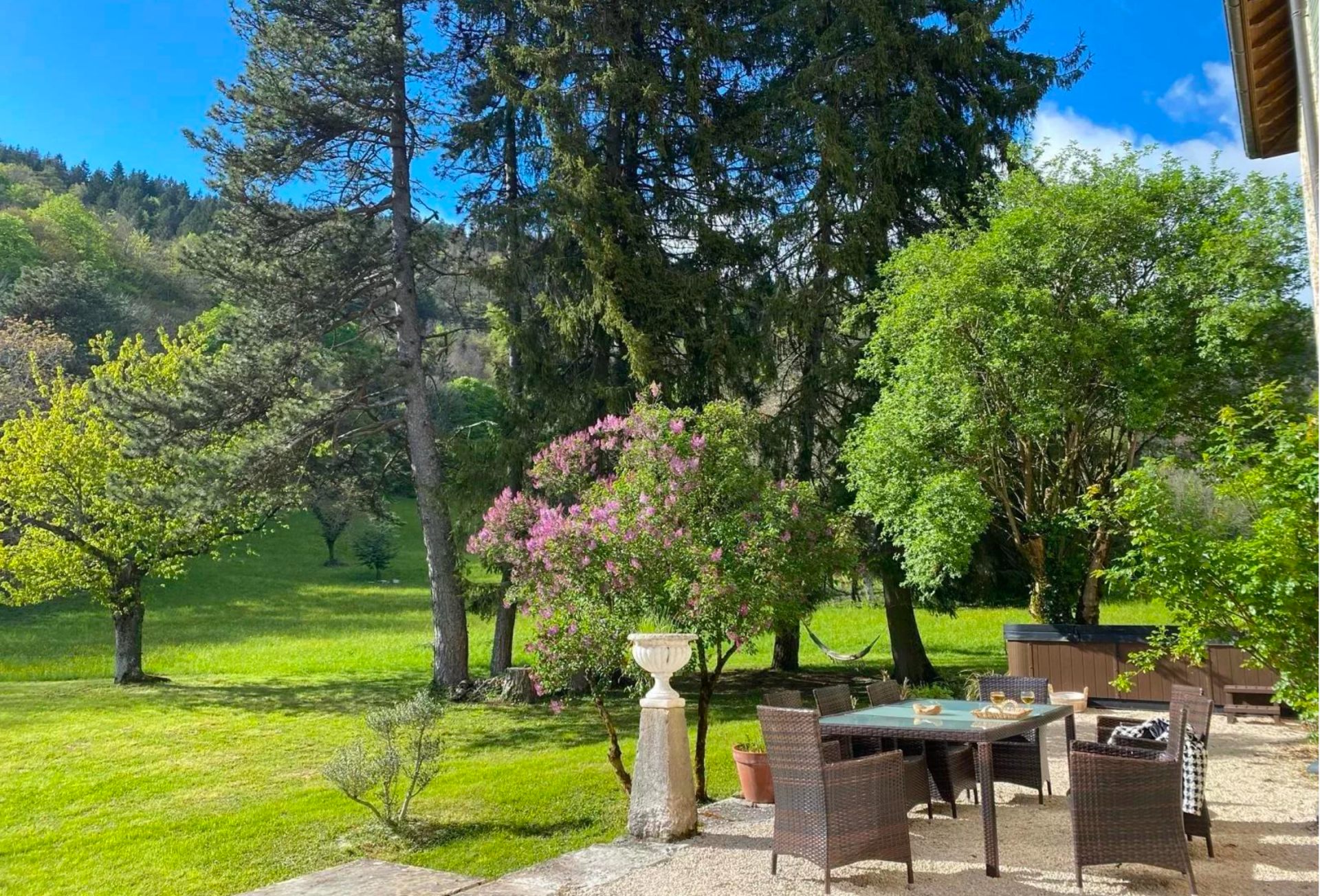 château 12 Pièces en vente sur MONTANGES (01200)