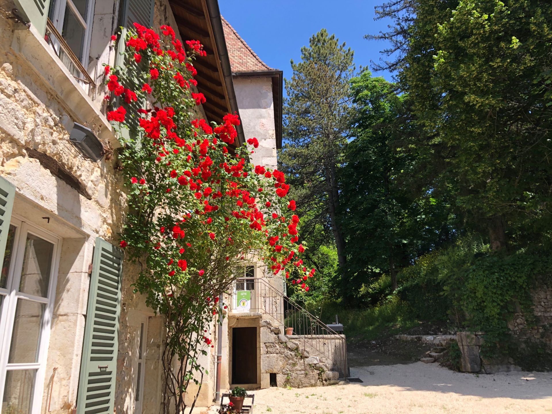 château 12 Pièces en vente sur MONTANGES (01200)