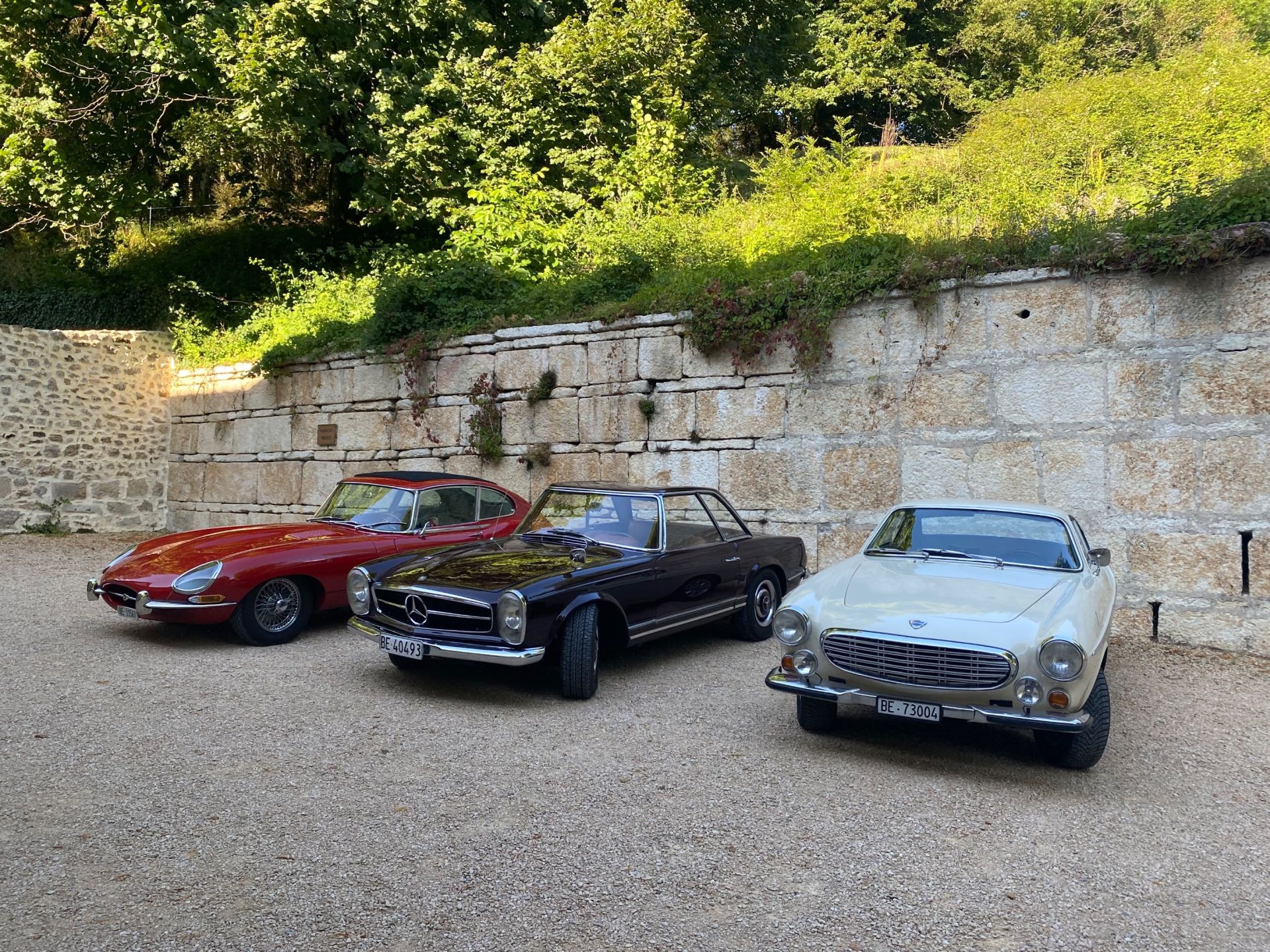 château 12 Pièces en vente sur MONTANGES (01200)