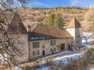 château 12 Pièces en vente sur MONTANGES (01200)
