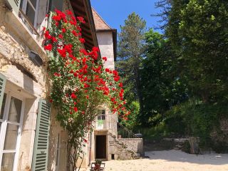 château 12 Pièces en vente sur MONTANGES (01200)