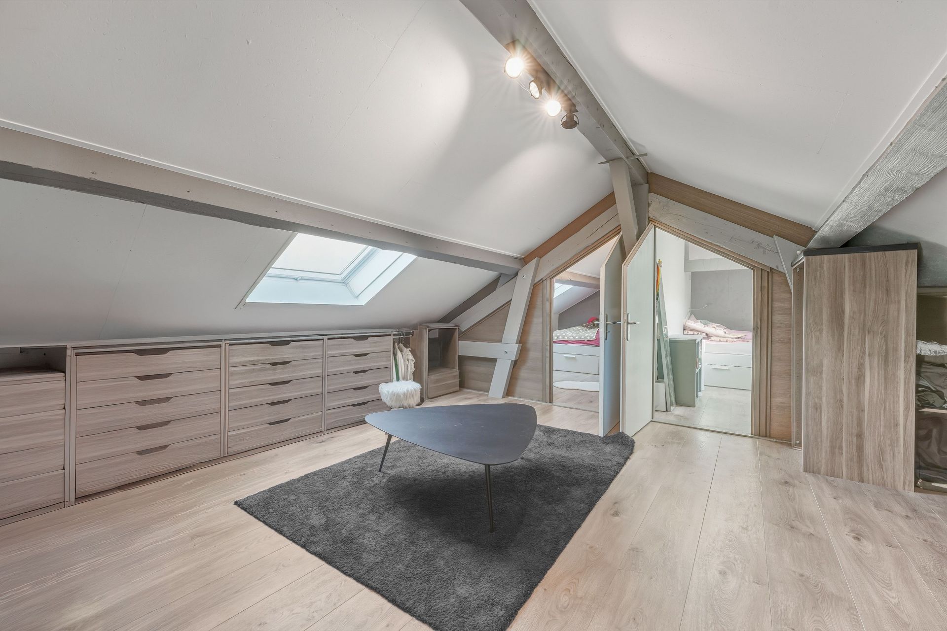 propriété équestre 11 Pièces en vente sur ST GENIS POUILLY (01630)