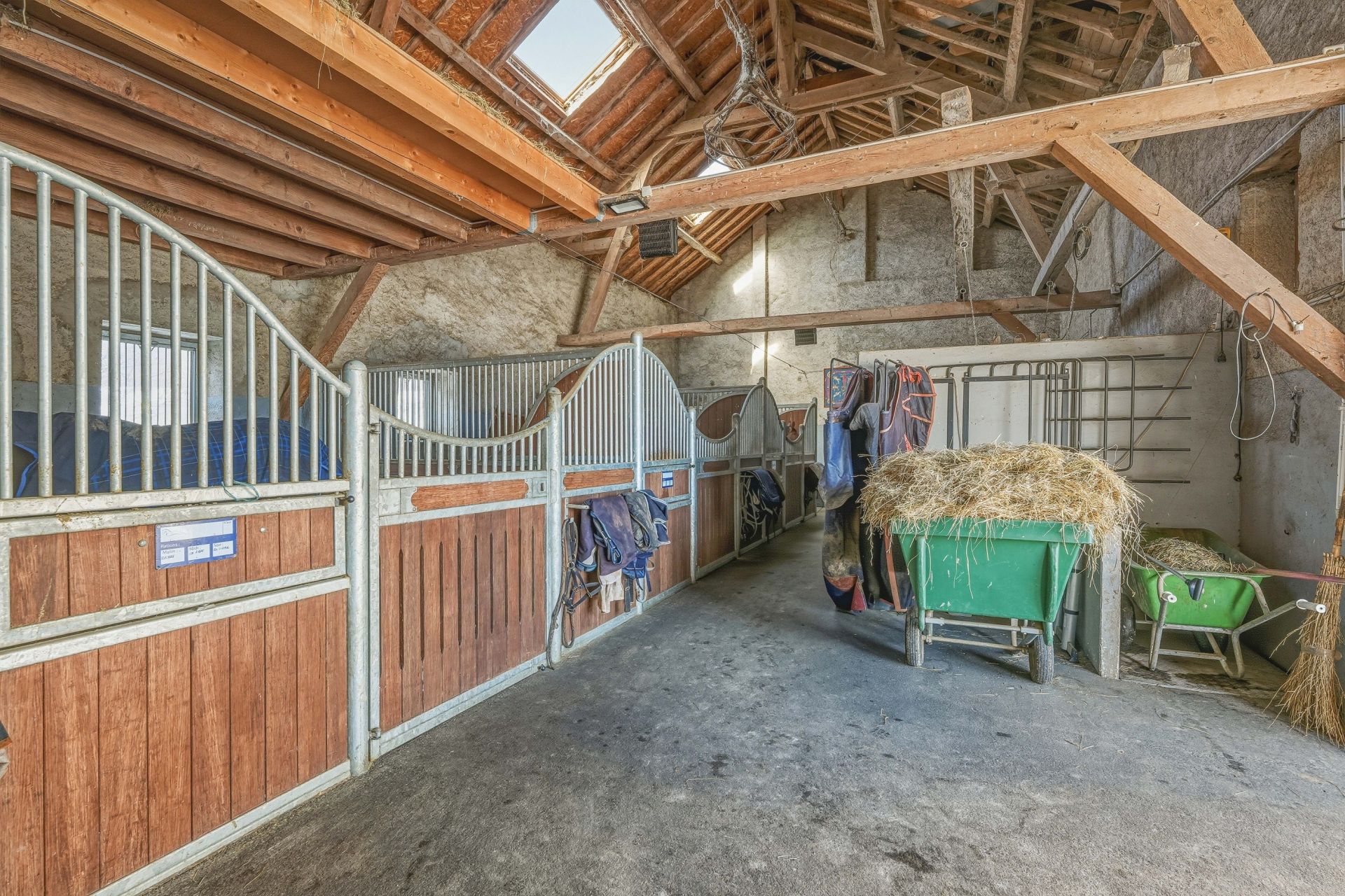 propriété équestre 11 Pièces en vente sur ST GENIS POUILLY (01630)