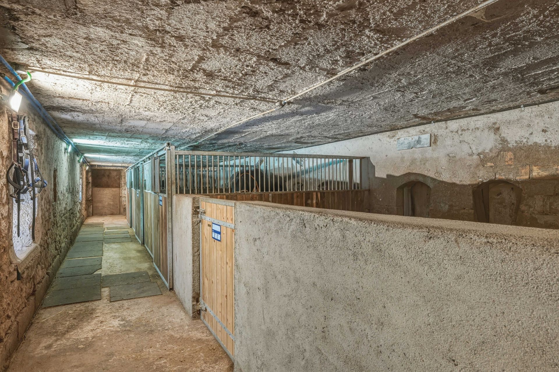 equestrian property 11 Rooms for sale on ST GENIS POUILLY (01630)