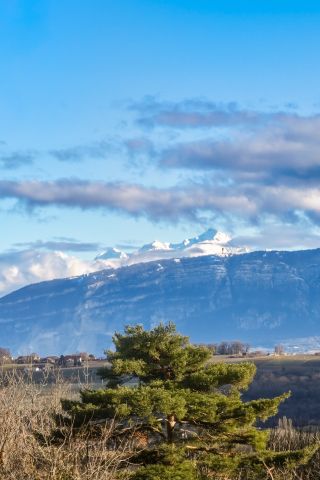 maison 6 Pièces en vente sur THOIRY (01710)