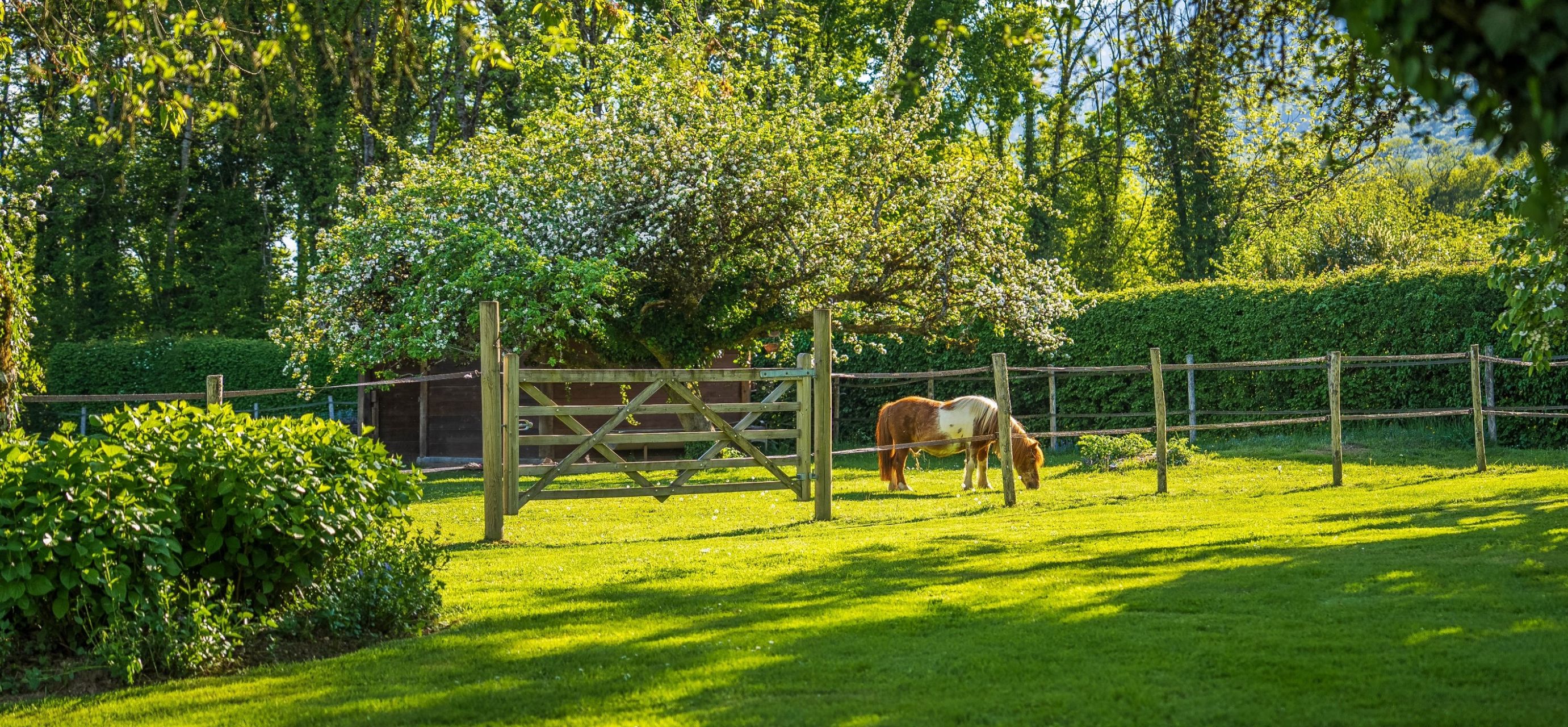 house 10 Rooms for sale on CHEVRY (01170)