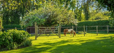 house 10 Rooms for sale on CHEVRY (01170)