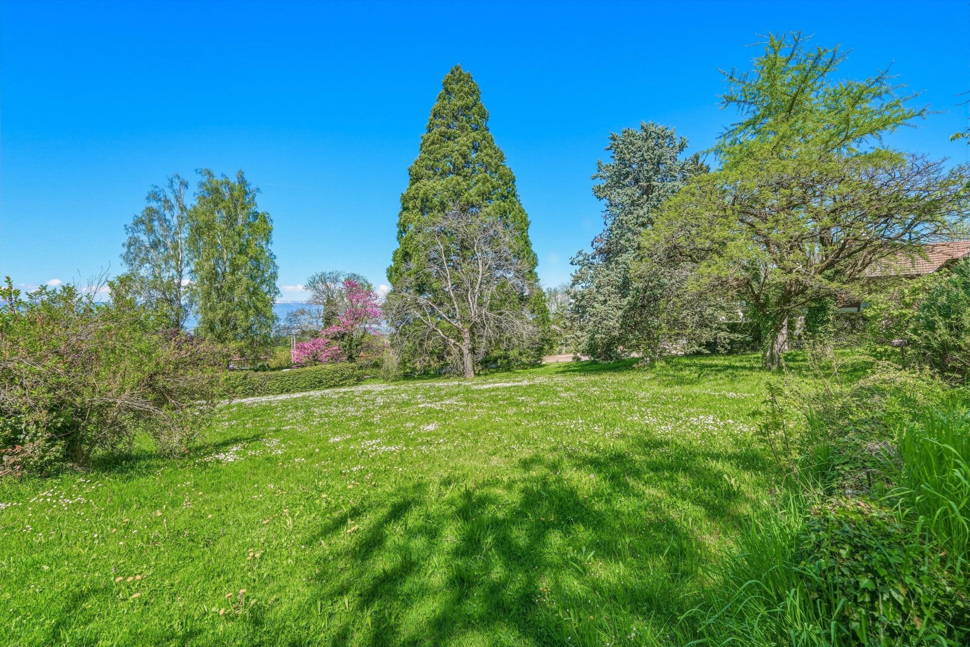 maison 13 Pièces en vente sur ARCHAMPS (74160)