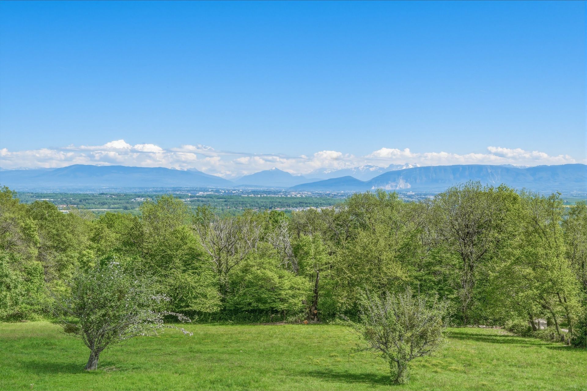 corps de ferme 8 Pièces en vente sur SERGY (01630)