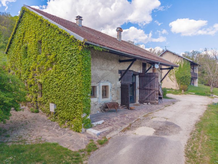 corps de ferme 8 Pièces en vente sur SERGY (01630)