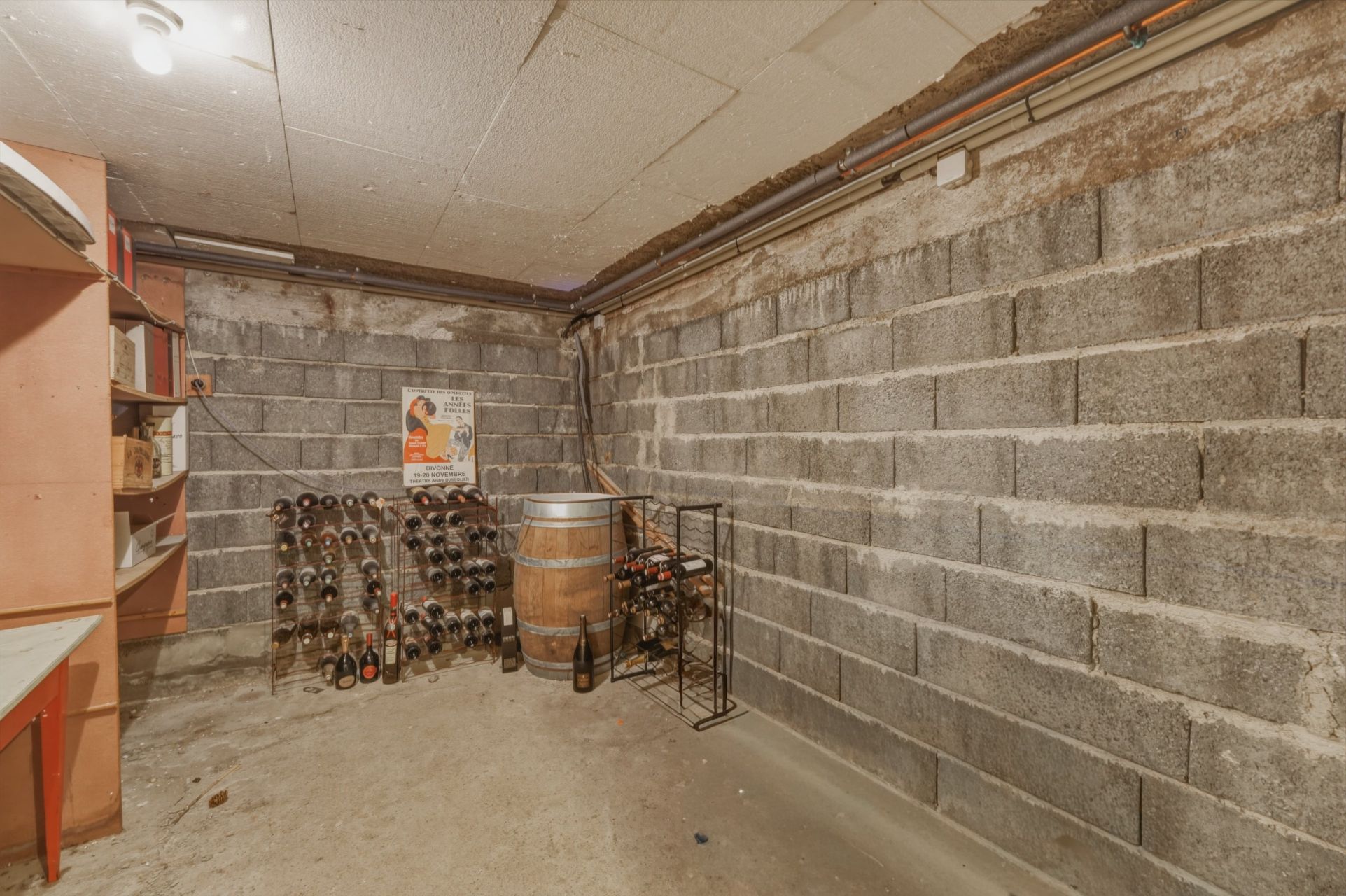 maison 9 Pièces en vente sur DIVONNE LES BAINS (01220)