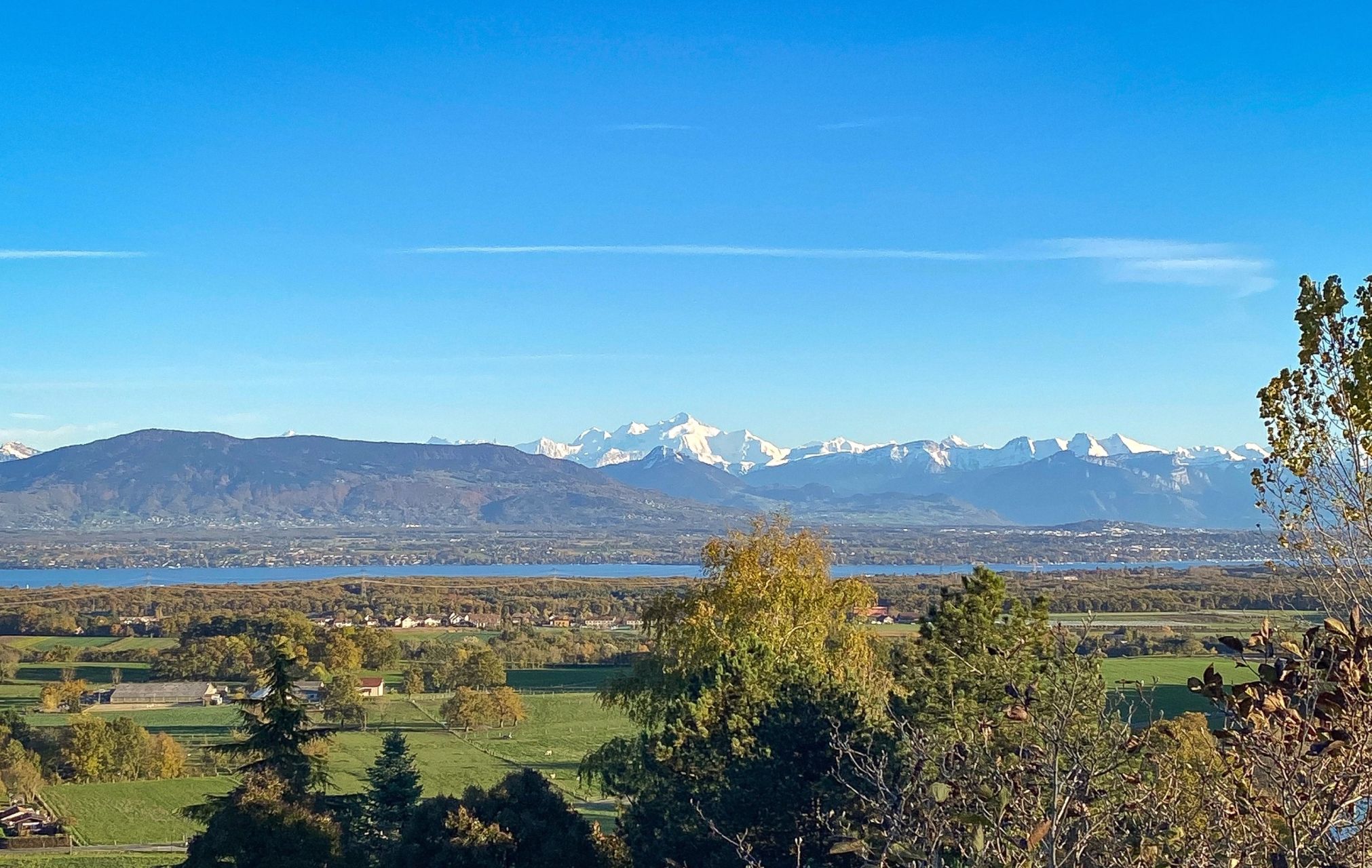 maison 8 Pièces en vente sur GRILLY (01220)