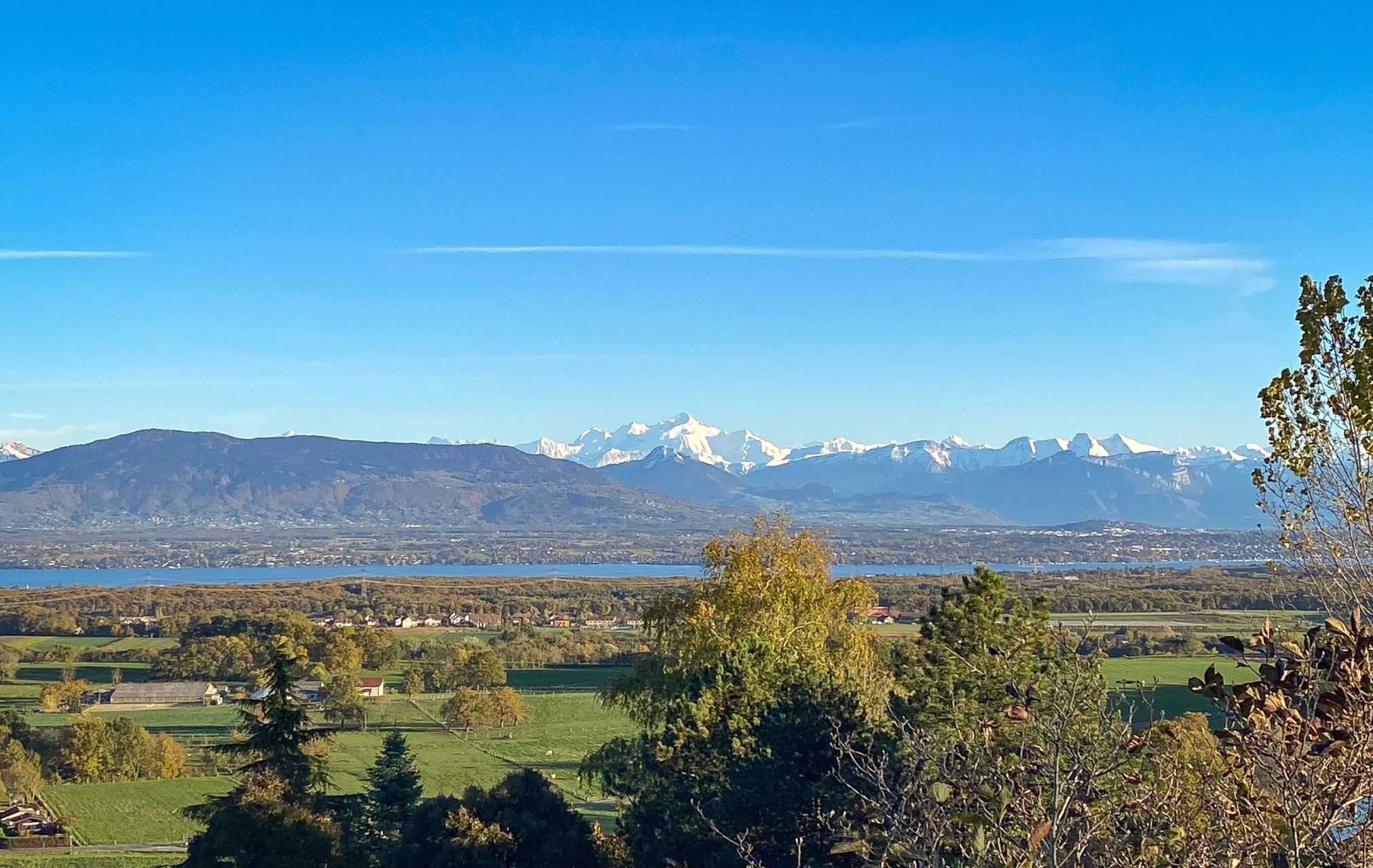maison 8 Pièces en vente sur GRILLY (01220)